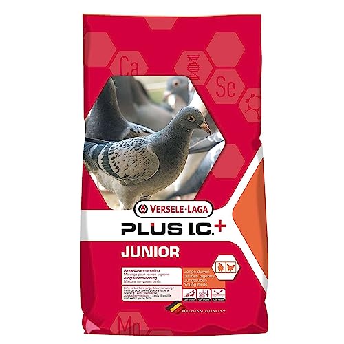 Versele-Laga Junior Plus Ic - Tauben 20 KG