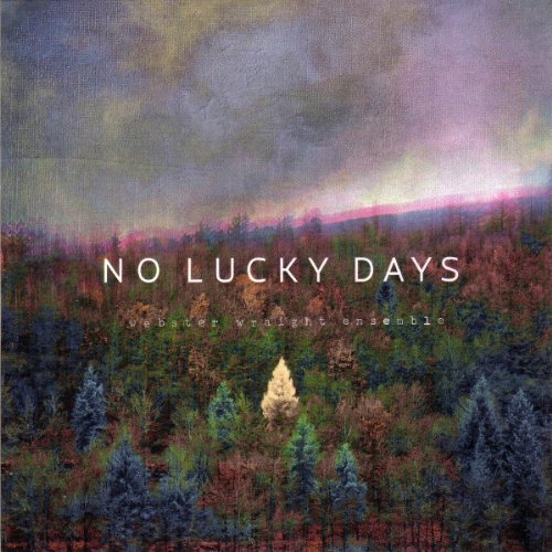No Lucky Days [Vinyl LP]