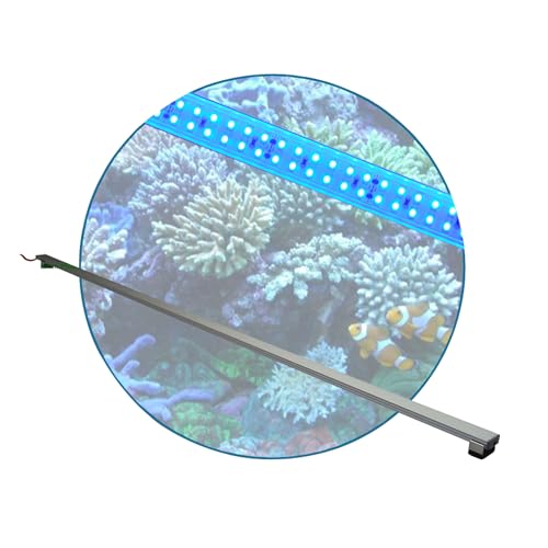 Meerwasser Aquarium - LED-Leuchtbalken 100 cm, 1 Leiste BLAU mit Trafo 60W