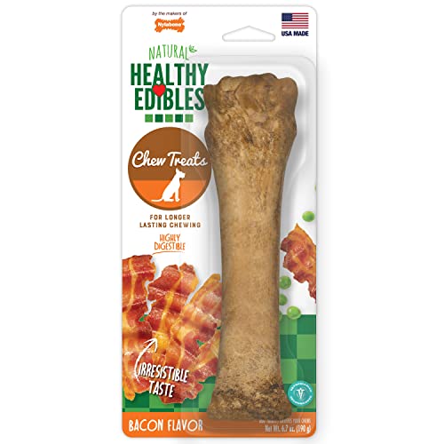 Nylabone Healthy Edibles Longer Lasting Dog Bone Chew Toy Bacon Petite Souper