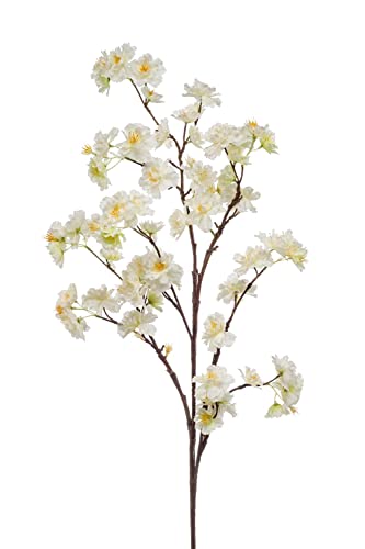 artplants.de Deko Kirschblütenzweig GIMA mit Blüten, Creme-gelb, 120cm - Deko Blumenzweig