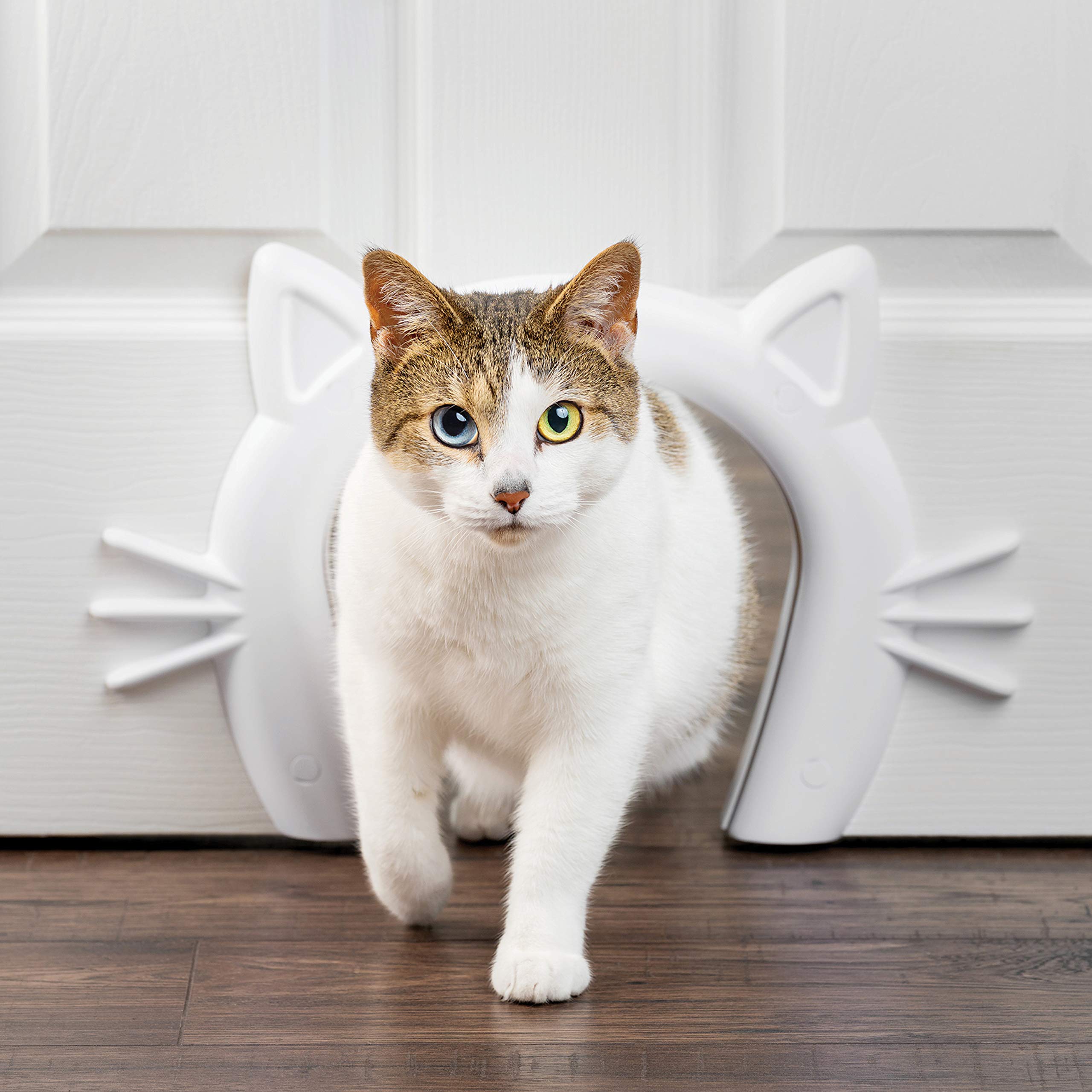 PetSafe Cat Corridor Katzenschlupf für Zimmertüren, Katzentunnel für Zimmertüren, Für Katzen bis zu 9 kg, Weiß bemalbar, 19.1x19.6 cm (1er Pack)