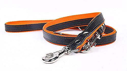 Capadi K0186 Einstellbare Hundeleine aus echtem strapazierfähiges Leder gefüttert mit starkem Nylon, Orange, Breite 12 mm, Länge 220 cm