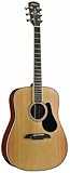 Alvarez AD60 Dreadnought Artist Series