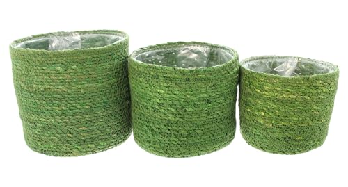 FRANK FLECHTWAREN Pflanzkorb Green, 3er Set, Seegras, ausgeschlagen mit Folie Maße: Ø 14 x 12 cm, Ø 16 x 14 cm, Ø 18 x 16 cm