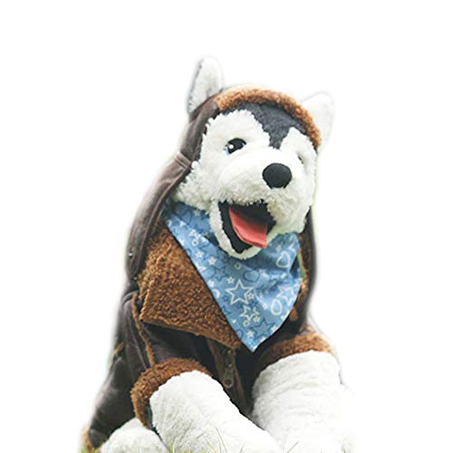 NashaFeiLi Haustier Mantel Hund Winterjacke mit Reißverschluss Leder Kaltwetter Kostüm für Welpen kleine mittelgroße Hunde