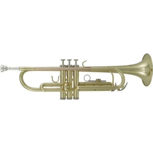 Roy Benson Bb Trompete MOD.TR-101 lackiert, inkl. Etui
