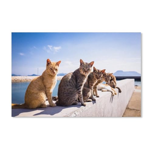 Puzzle 1000 Teile für Erwachsene，Süße Katzen unter der Sonne，Puzzle Puzzle Schwierig Perfektes Pädagogisches Geschenk für Jungen Und Mädchen（52x38cm）-A345