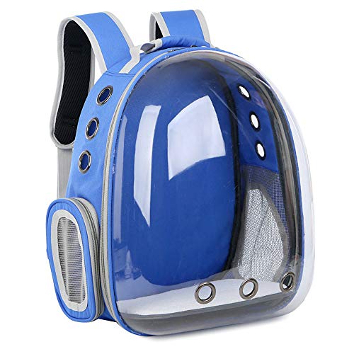 MBLUE Atmungsaktive kleine Haustier-Tragetasche Tragbares Haustier Outdoor-Reiserucksack Hund Katze (blau)