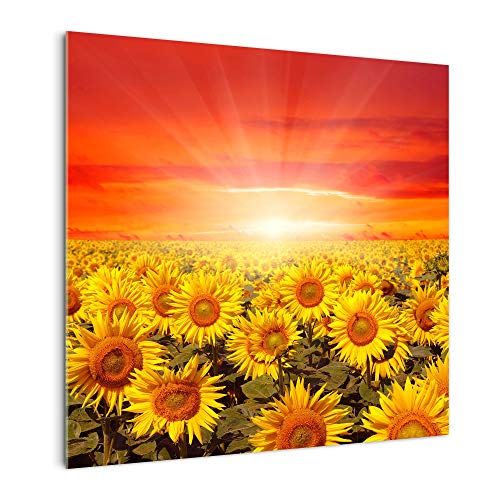 DekoGlas Küchenrückwand 'Sonnenblume Abendrot' in div. Größen, Glas-Rückwand, Wandpaneele, Spritzschutz & Fliesenspiegel