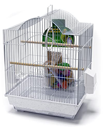 Penn Plax Starter-Set für kleine Vögel und Vogelkäfig und Zubehör