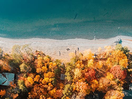 Puzzle 500 Teile,Lernen Pädagogische Puzzle Spielzeug -Strand, Küste, Antenne, Aussicht, 52x38cm