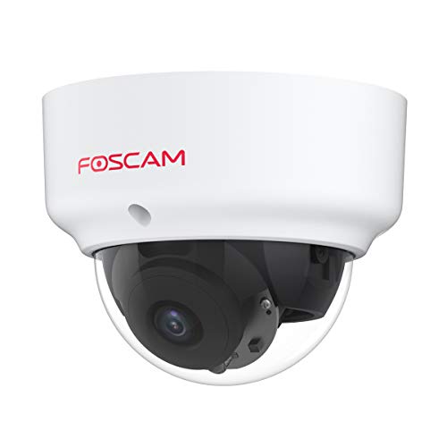 Foscam D2EP PoE IP-Kamera für den Außenbereich, HD, 2 MP, Infrarot, 20 m, Anti-Vandalico IK10, intelligente Erkennung, kompatibel mit Amazon Alexa