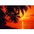 papermoon Vlies- Fototapete Digitaldruck 350 x 260 cm, Tropical Sunset