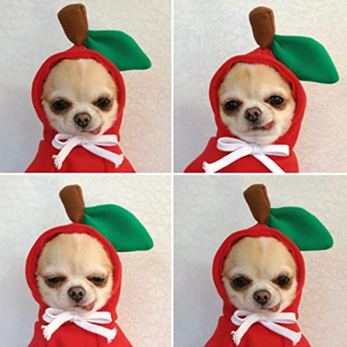 1 Stück kleine und mittelgroße Haustierhunde Hoodies Teddy Französische Bulldogge Warme Kleidung im Herbst und Winter Chihuahua Hund Dress Up Jacke