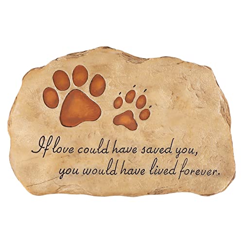 Dasertoe Markierstift für Haustiere für Hunde oder Katzen zum Verlust des Grabsteins des Grabsteins für Haustiere