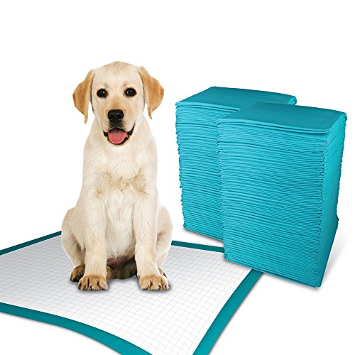 simple solution Hundeunterlagen für Hundetraining und Welpen, Größe XL, 100 Stück