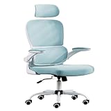 WSSDMFF BüRostüHle Bürostuhllift mit Lordosenstütze, Netz-Bürostuhl mit hoher Rückenlehne, Verstellbarer Kopfstütze und Klapparmen BüRostuhl (Color : Blue, Size : A)