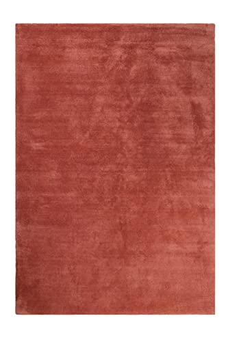 wecon home Kuschelig weicher Esprit Hochflor Teppich, bestens geeignet fürs Wohnzimmer, Schlafzimmer und Kinderzimmer LOFT(70 x 140 cm, Ziegel rot)