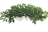 Evergreens künstlicher (Deko) Laubzweig 12 Stück (Ficus grün)