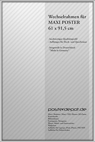 Bilderrahmen f. Maxi Poster - Größe 61 x 91,5 cm, Silber - 2mm Antireflex Acrylglas - Top-Qualität made in Germany