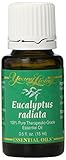 Eucalyptus Radiata Young Living Essential Oils 15 ml KOSHER Certified New by Young Living