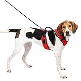 PetSafe EasySport Hundegeschirr, Komplett gepolstert mit elastischem Halsteil, Für Hunde von 29,5 kg bis 36 kg, Größe L, Rot