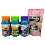 MADAME GROW ⭐️⭐️⭐️⭐️⭐️ Tatoo Bloom 4 Kit Beste Blüte für Sie. Marihuana oder Cannabispflanze - Explosive Blüten und Knospen - 3X 250 ml + 30gr