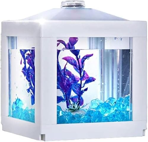 HEIMP Fischschalen Persönlichkeit Kreative Acryl Fisch Zylinder Aquarium Desktop Home Wohnzimmer Mode Aquarium Dekoration Fische & Aquarien Fischtank