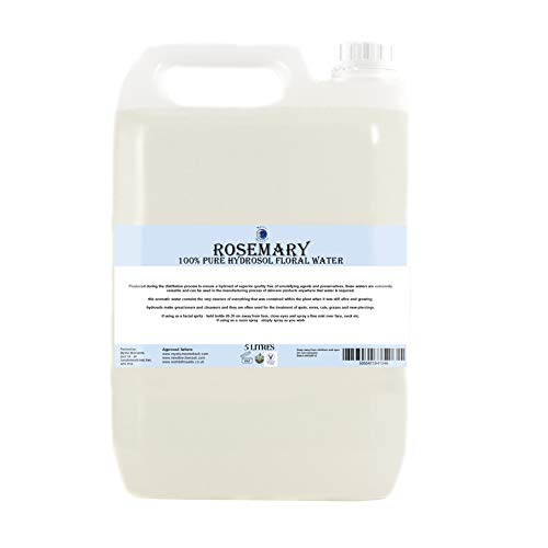 Rosmarin Hydrosol Blumenwasser – 5 Liter