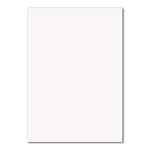 500 DIN A4 Papierbogen Planobogen - Hochweiß (Weiß) - 160 g/m² - 21 x 29,7 cm - Bastelbogen Ton-Papier Fotokarton Bastel-Papier Ton-Karton - FarbenFroh