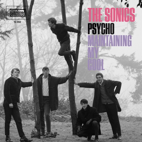 7-Psycho [Vinyl Single]