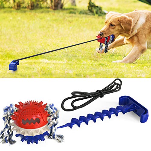 Hundespielzeug mit elastischem Seil für aggressive Kauer, quietschendes Spielzeug, Leckerbissen, Anziehungsmerkmale für Haustiere, Blau