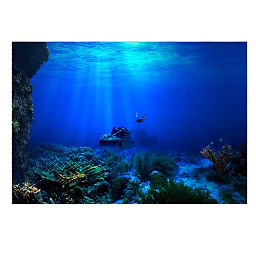 Rosvola Effekt Bilder des Aquarium Hintergrund 3D, PVC klebendes Aquarium Unterwasser Seaworld Hintergrund Dekorations Plakat(61 * 30cm)