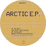 Arctic [Vinyl LP]