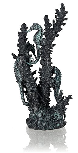 OASE biOrb 55062 Seepferdchen schwarz M - Mittelgroße Seepferdchen-Skulptur in Schwarz mit Korallen zur individuellen Gestaltung vom Süßwasseraquarium und Meerwasseraquarium