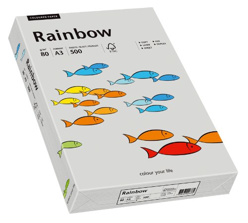 Papyrus 88042808 Farbiges Kopierpapier, Bastelpapier: Rainbow 80 g/m², A3, 500 Blatt, Grau