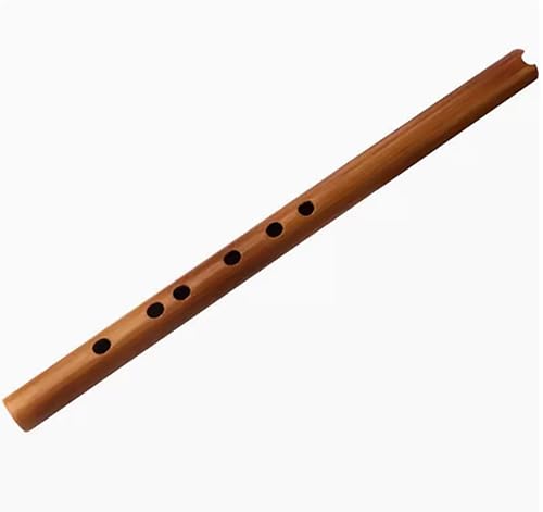Chinesische Bambusflöte Xiao, U-förmiges Mundstück, kurzes Xiao-Musikinstrument für Anfänger, Bambusflöte für Anfänger, G-Tonart