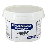 GELATINE Hydrolysat Equus Pulver vet. 1000 g
