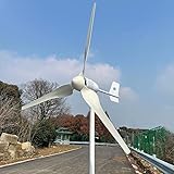 2000W Windkraftanlage Generator 2KW horizontal Windturbine hocheffizient 24V 48V 96V Windgenerator Windmühle (Mit Hybrid-MPPT-Controller, 48V)