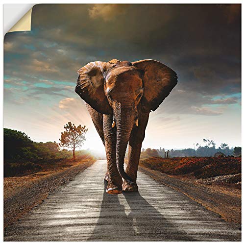 Artland Wandbild selbstklebend Vinylfolie 100x100 cm Tiere Wildtiere Elefant Fotografie Braun EIN Elefant läuft auf der Straße T9QO