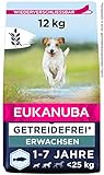 Eukanuba Hundefutter getreidefrei mit Fisch für kleine und mittelgroße Rassen - Trockenfutter für ausgewachsene Hunde, 12 kg