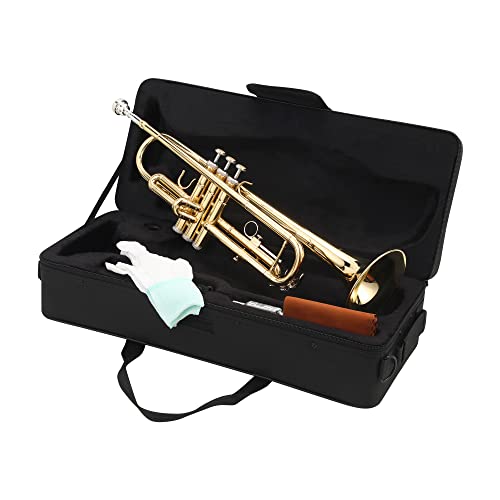LeSage Trompete Standard Bb Messing Instrumente Student Trompete mit Etui Gold Professionelle Trompete für Anfänger mit 7C Mundstück Handschuh