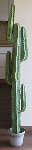 artplants.de Künstlicher Säulenkaktus Olivero im Topf, grün, 160cm - Deko Kaktus - Kunst Pflanze