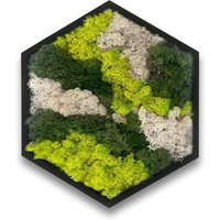 Moss Art Moosbild hexagonal 38 cm