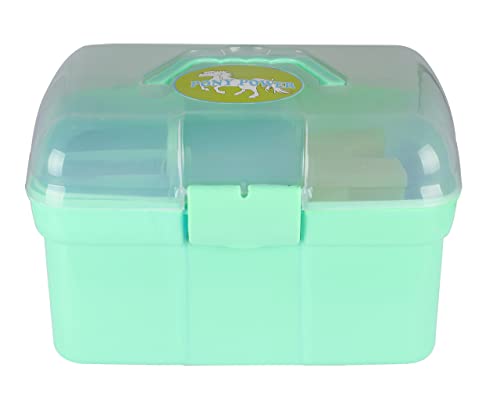 ARBO-INOX® Putzbox für Kinder Putzkiste Putzzeug (Ice Green)