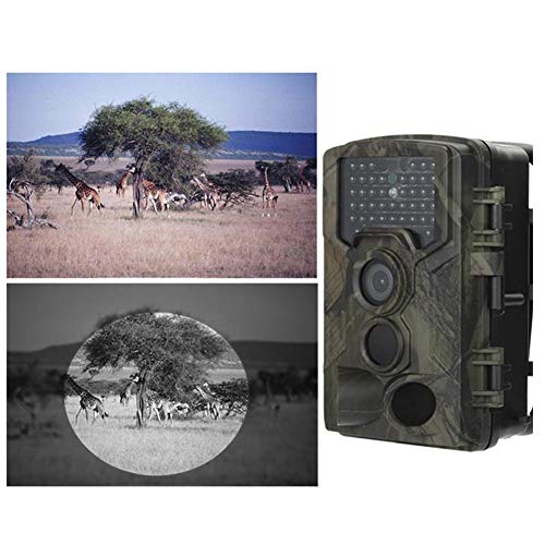 JoyFan Hinterkameras Nachtsicht Jagdkamera 1080P HD Digital Infrarot Wildlife Scouting Tierkameras Wasserdicht