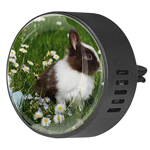 Quniao Bright Bunny 2 Stück benutzerdefinierte Auto-Aromatherapie-Lufterfrischer Diffusor Auto Duft Diffusor Medaillon Auto Diffusor Lüftungsclip Apply for Car, Office, Kitchen