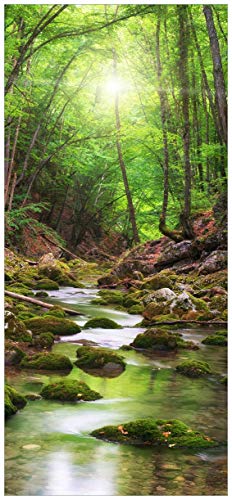 posterdepot ktt0413 Türtapete Türposter Fluss im Wald durch moosbedeckte Steine-Größe 93 x 205 cm