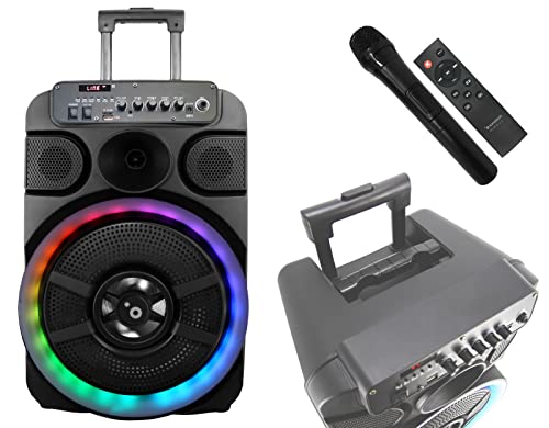 SUNSTECH Muscle S12 TWS Lautsprecher, 40 W, mit Karaoke-Funktion, LED-Beleuchtung, Bluetooth V5.0, FM-Radio, USB, Micro SD, AUX-In, Fernbedienung und Mikrofon, Schwarz, Kunststoff und Metall, único